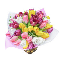 Bouquet of mixed tulips Flowers Of Spring