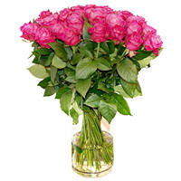Bouquet of pink roses Holiday Mood - view more