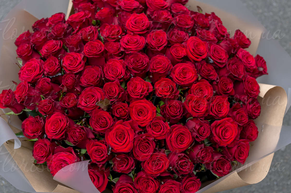   51, 101  151   60-70    :         ,  -   ,   - Florist.com.ua