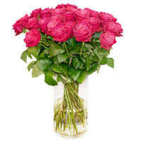 Bouquet of pink roses Flower Congratulations - view more