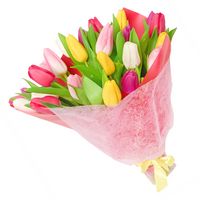 Bouquet of tulips Spring Dreams - view more