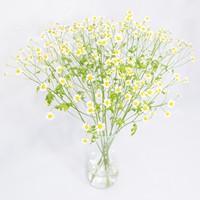 Bouquet Bright Midday - view more