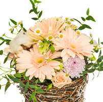 Arrangement Nice Flowers Basket
