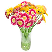 Bouquet Bright Gerberas