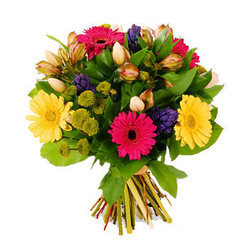 Mixed bouquet Domino - view more