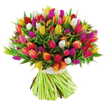 Разноцветные тюльпаны - смотреть подробнее