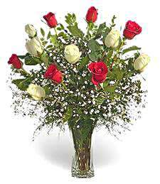 Bouquet of red and white roses Shining Smile - view more