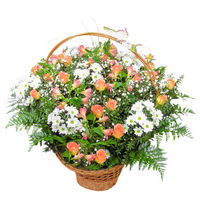 Flowers basket Bright Morning - view more