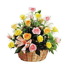 Basket of roses Colorful fireworks - view more