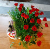  2.      ,  ,   -  , . florist.com.ua