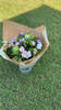  4.      (), . florist.com.ua